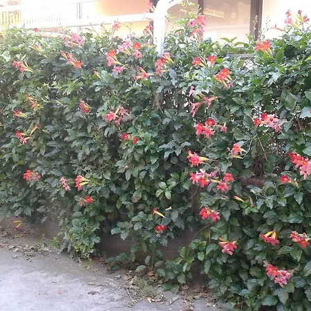 Eurelios Отель типа 