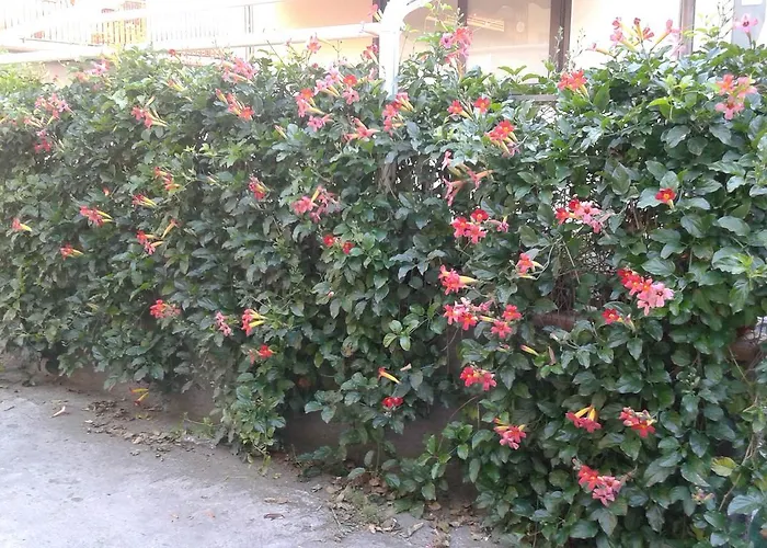 Eurelios Nocleg ze śniadaniem